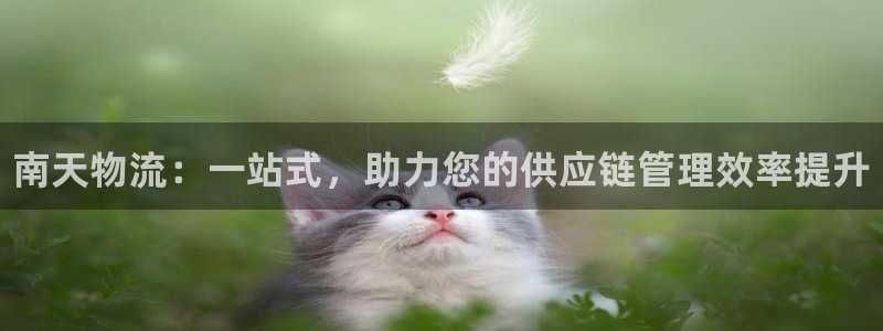 28圈不给提现：南天物流：一站式，助力您的供应链管理效率提升