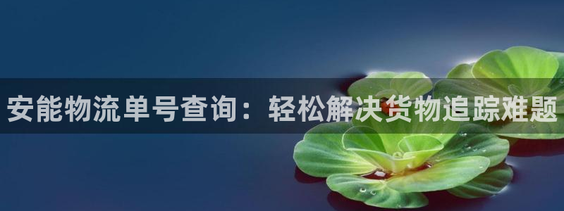 28圈女王中奖记录查询:安能物流单号