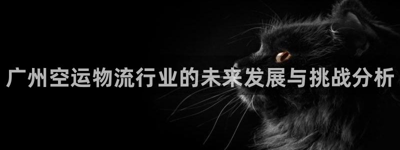 28圈APP是干什么的：广州空运物流