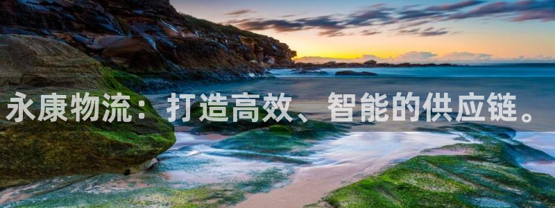 南宫28圈怎么注册：永康物流：打造高效、智能的供应链。