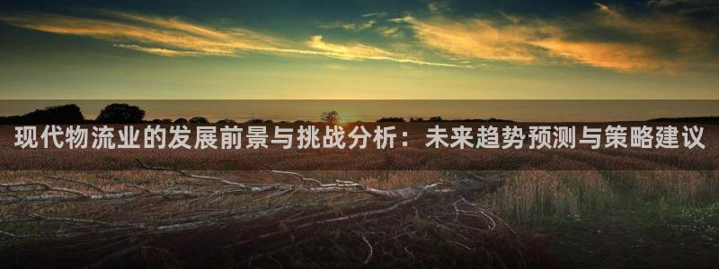 28圈注册网页版：现代物流业的发展前