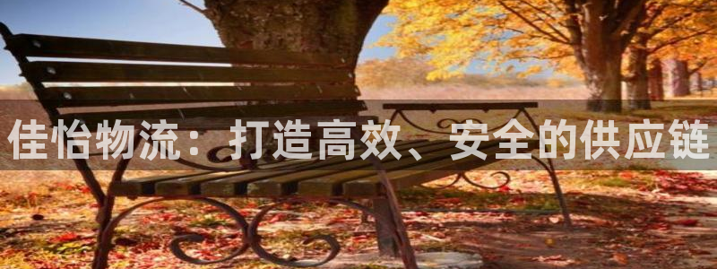 28圈取保：佳怡物流：打造高效、安全