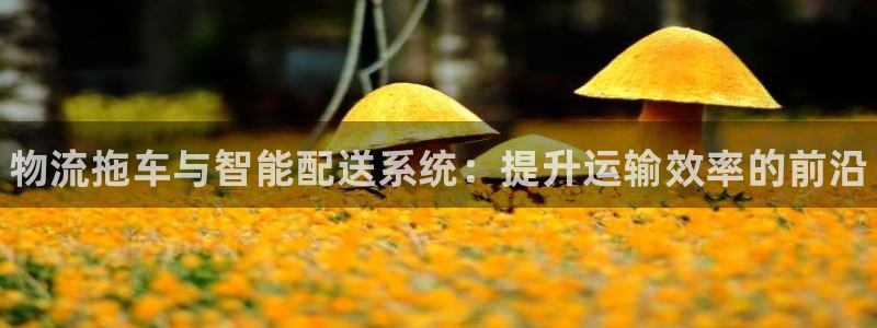 28圈提款一直没到：物流拖车与智能配